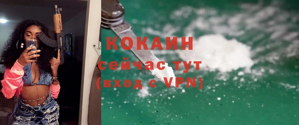 дживик Белокуриха