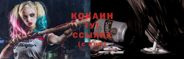 дживик Белокуриха