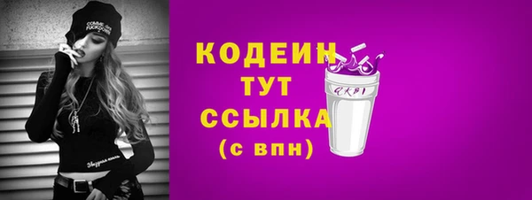 дживик Белокуриха