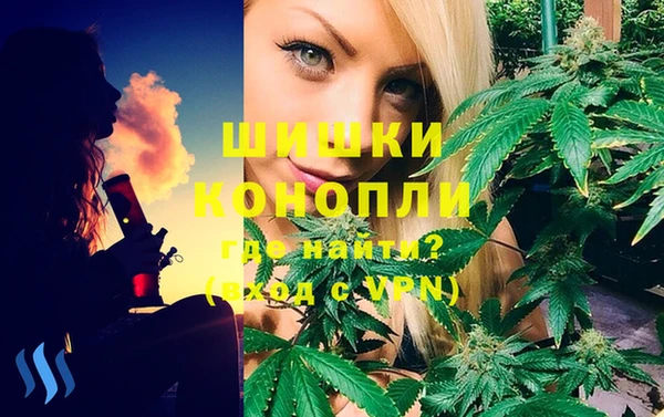 дживик Белокуриха