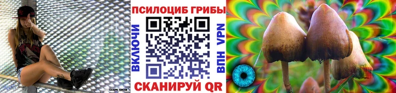 Псилоцибиновые грибы мицелий Динская